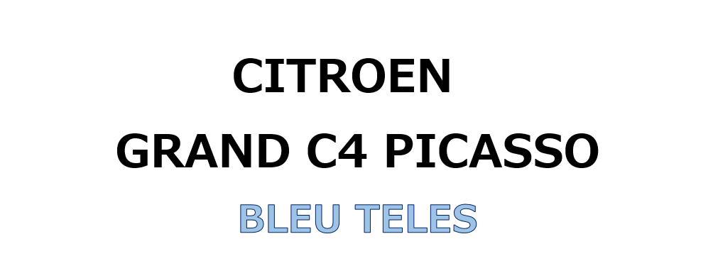 BLEU TELESのGRAND PICASSO ご納車♪♪