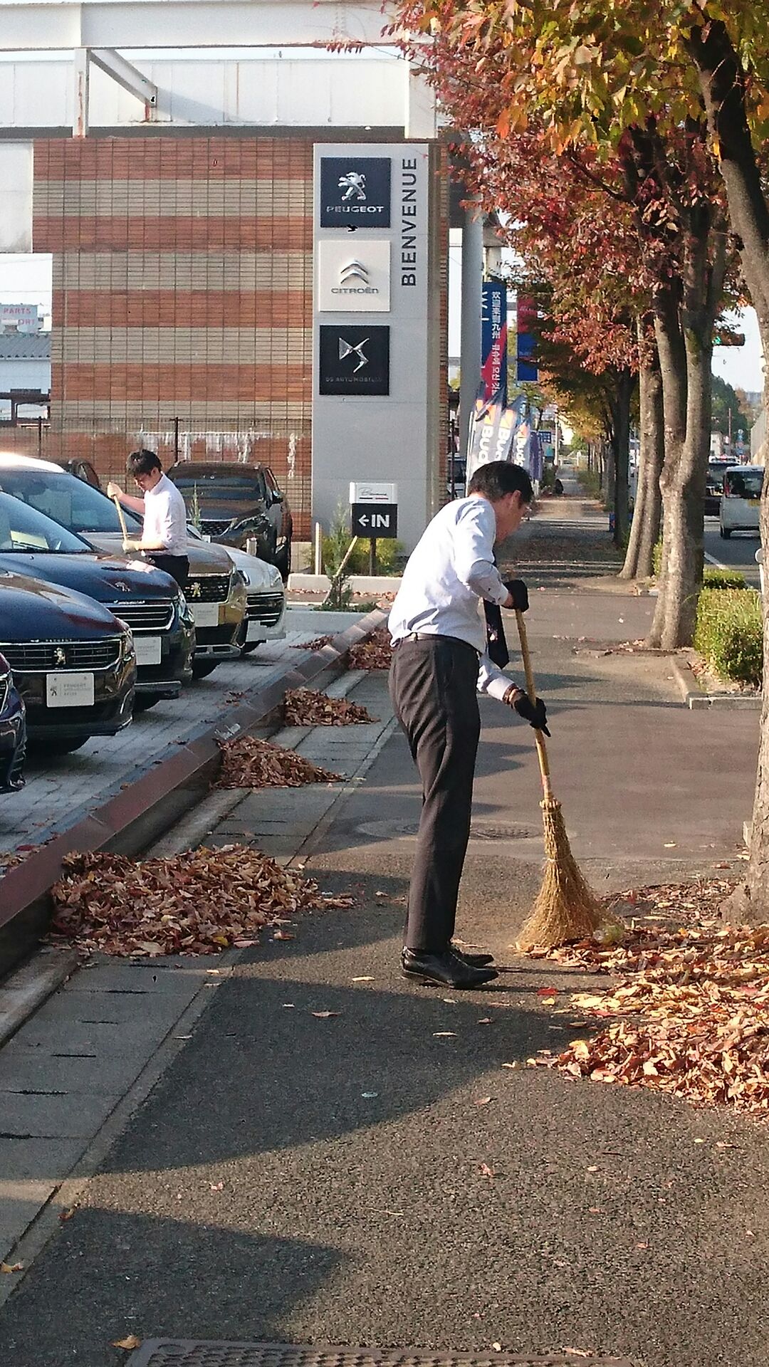 落ち葉拾い