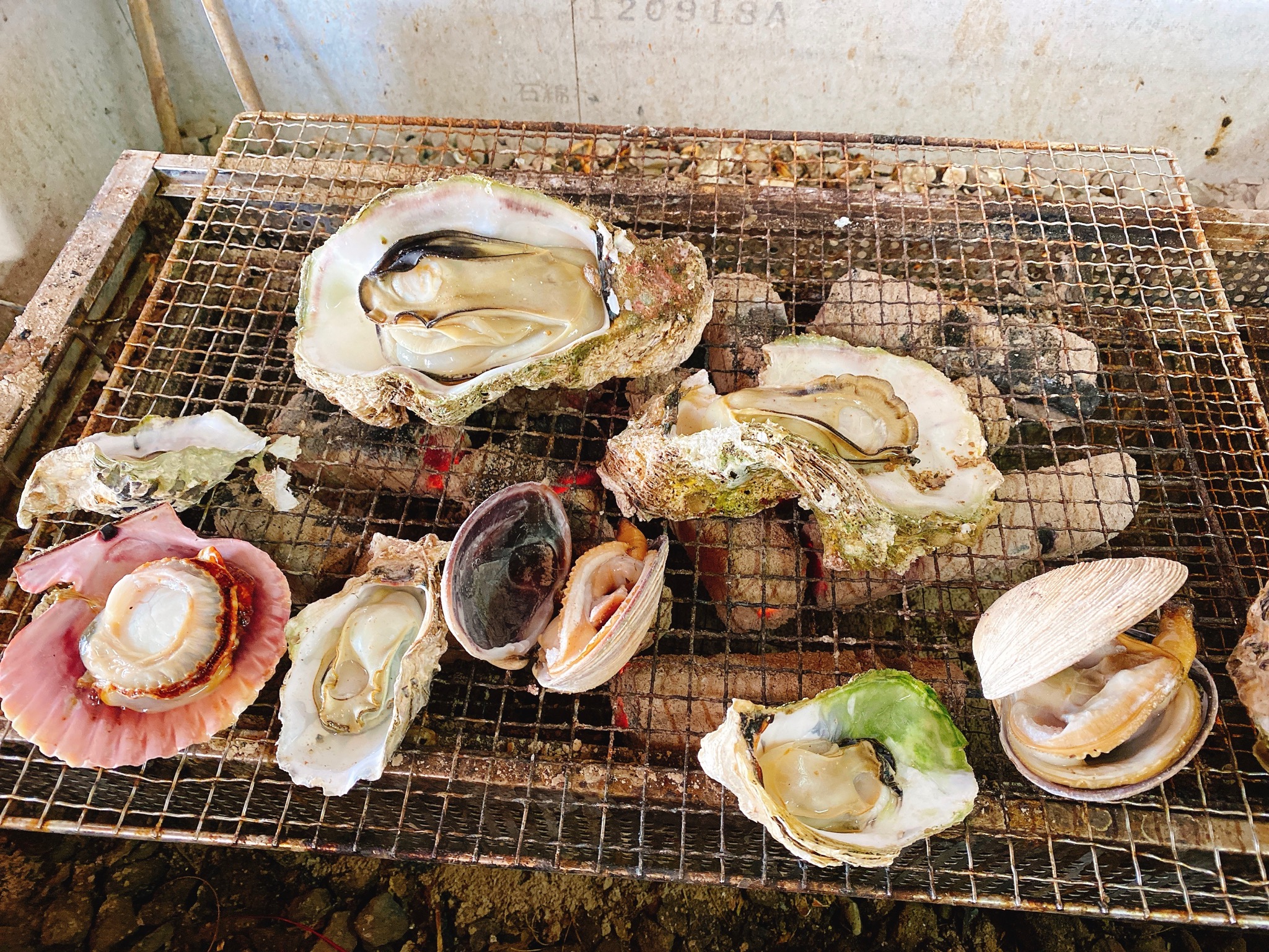 牡蠣を食べに延岡へ♪