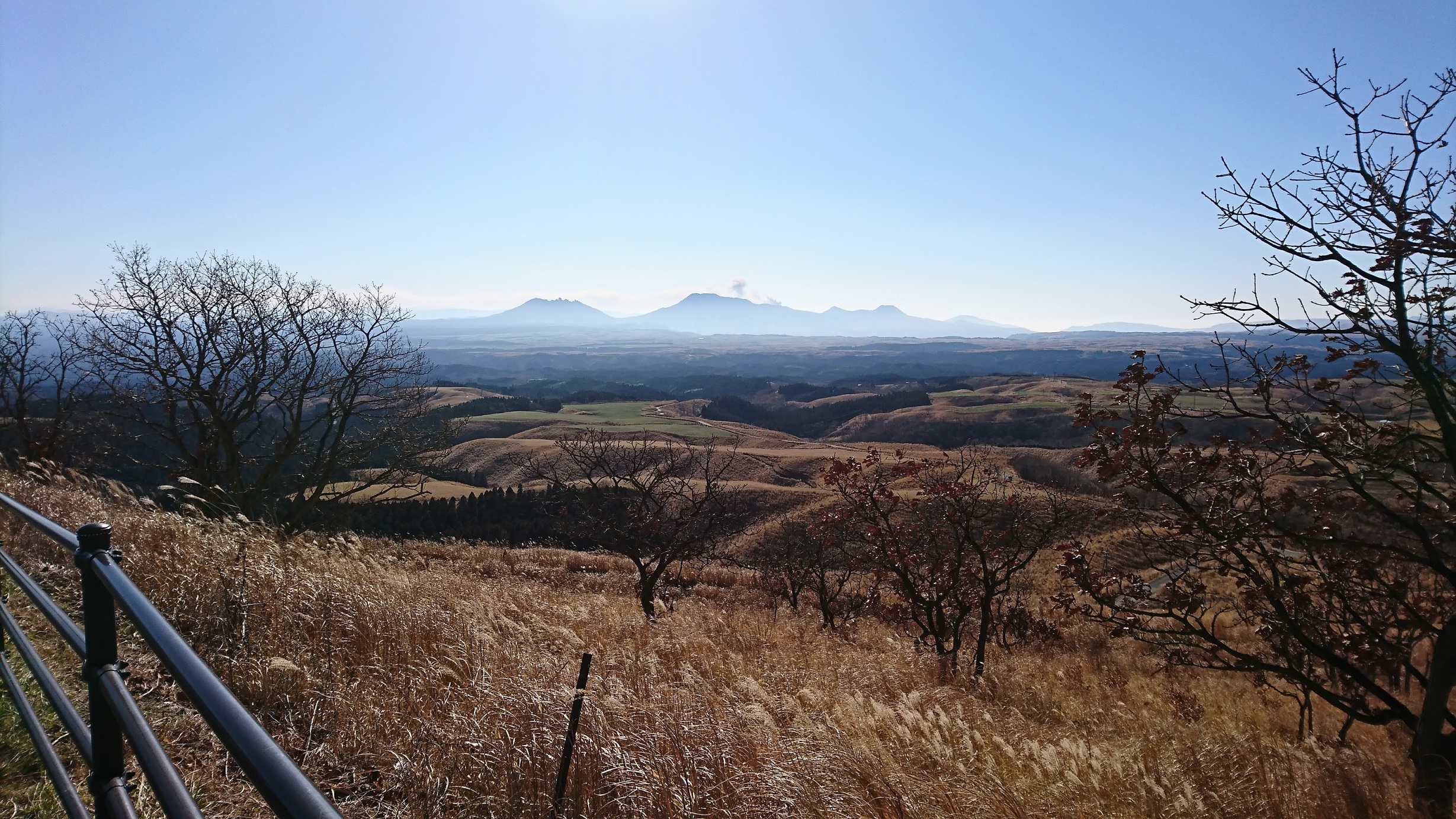 新年のご挨拶