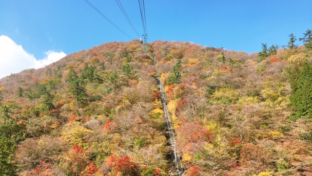 紅葉の秋♪