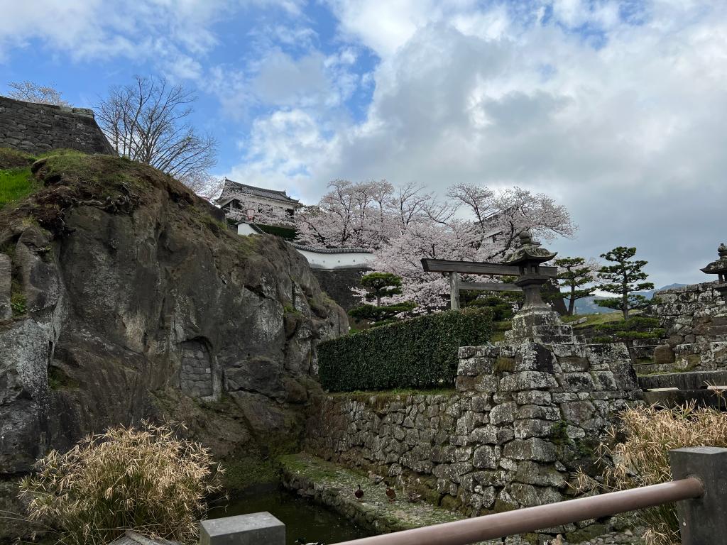 プチお花見♪