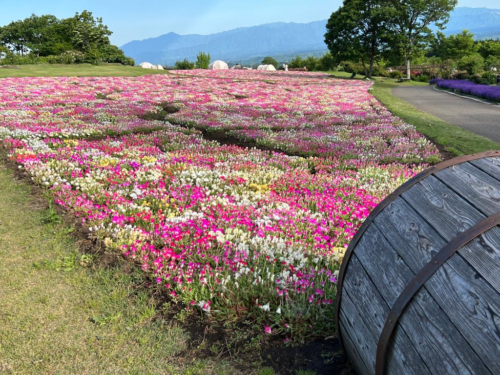 お花の癒し