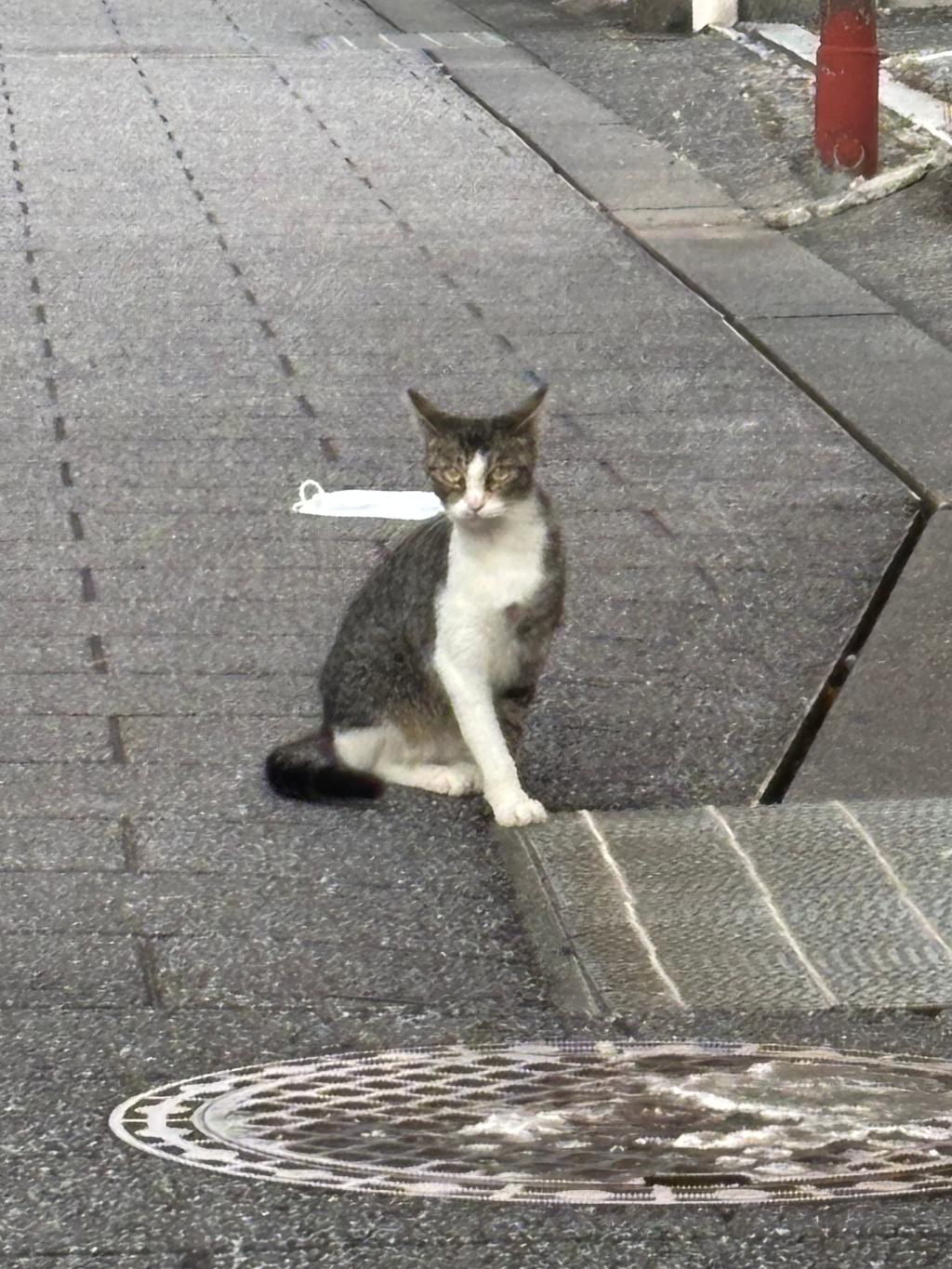 話題の？