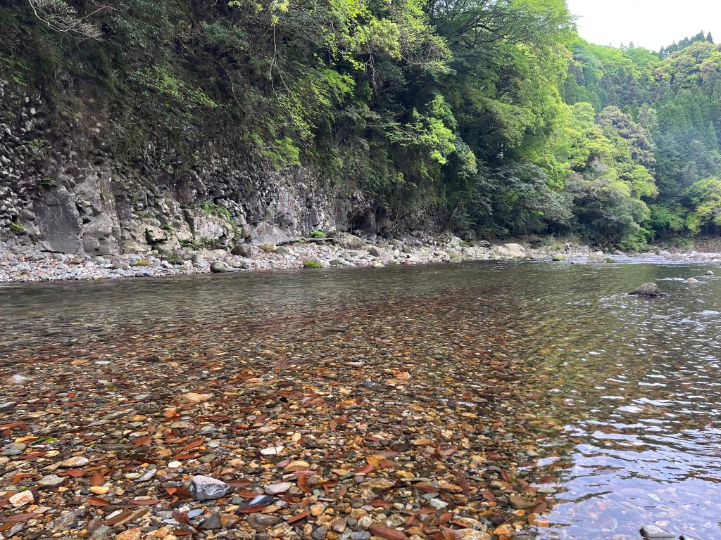春の河