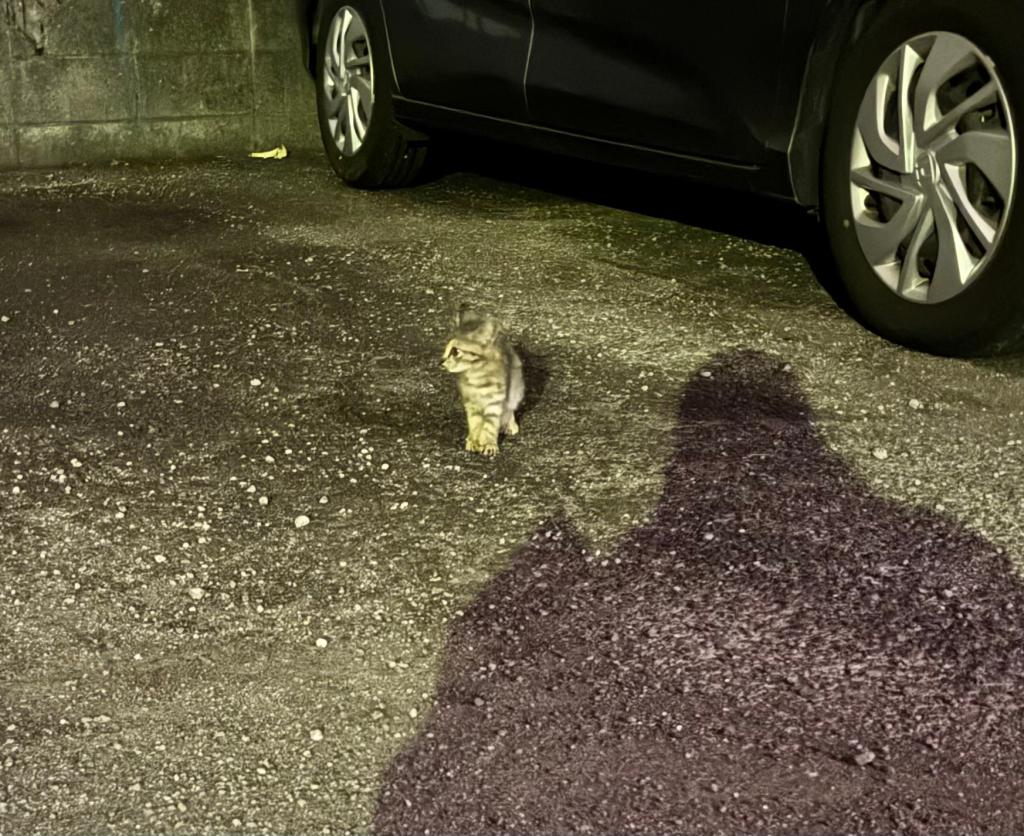 仕事終わりの出迎え