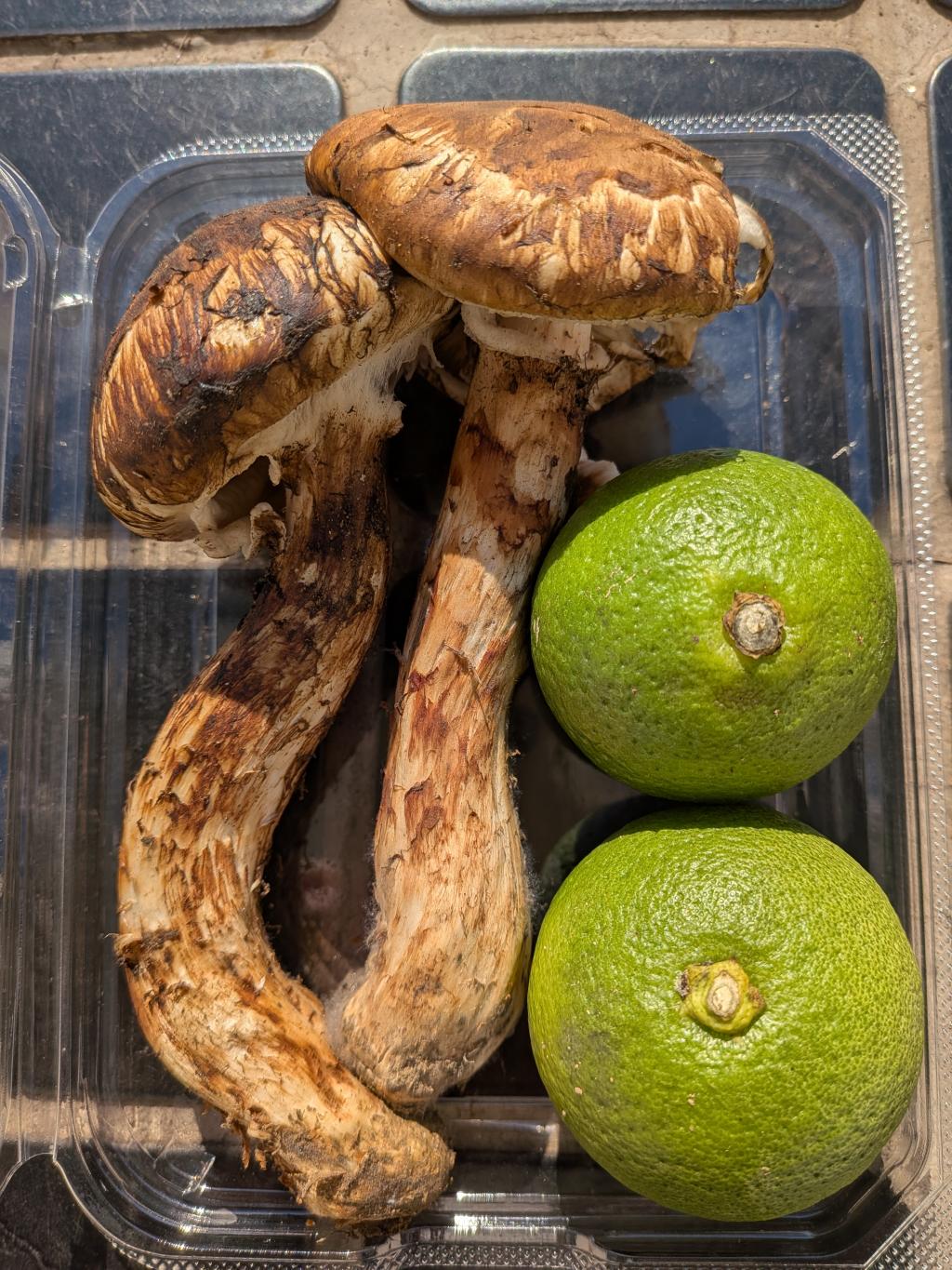 秋の味覚
