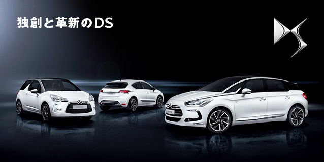 -New Year DS Line Experience-