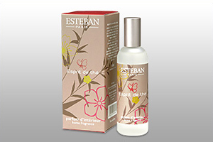 メンテナンスキャンペーン実施中!!