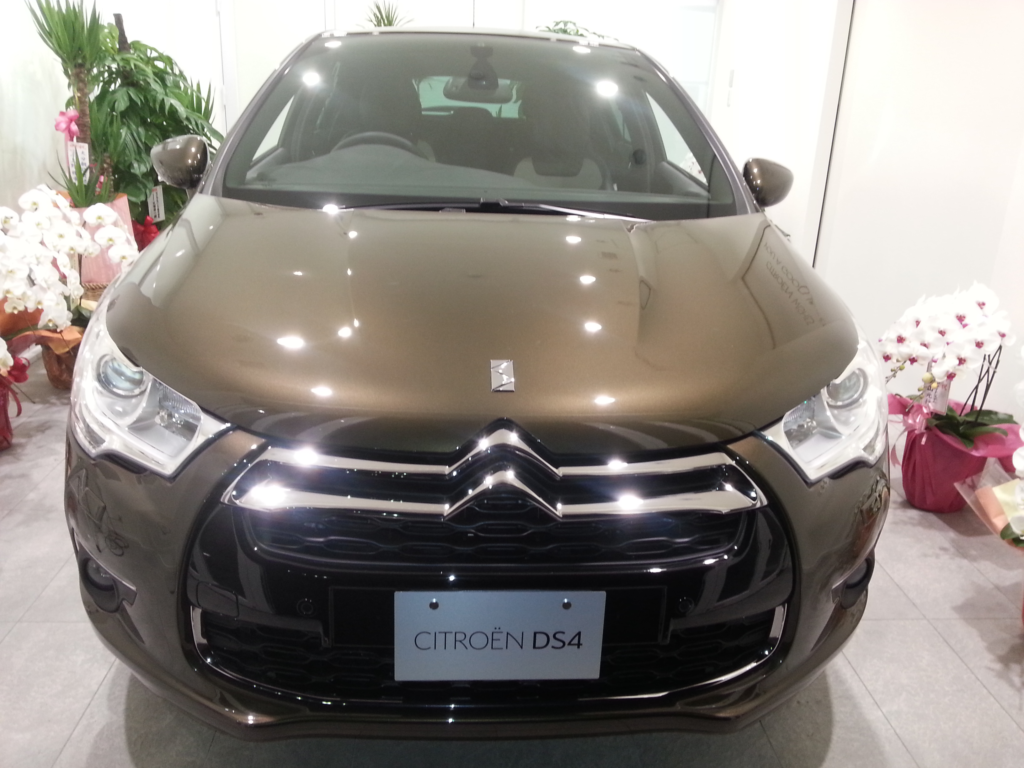 ウルトラマリン２