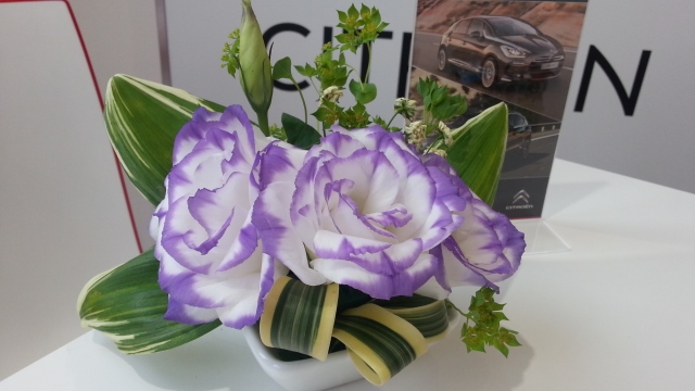 DS4 Edition Rouge Fair