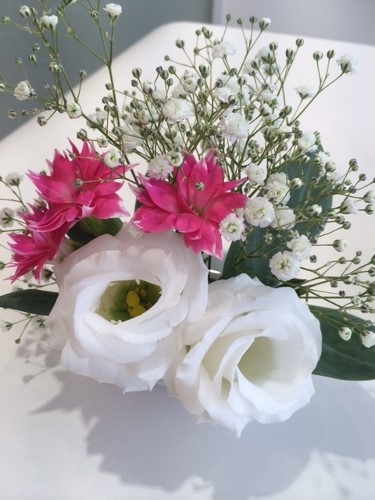 スターチェリー☆