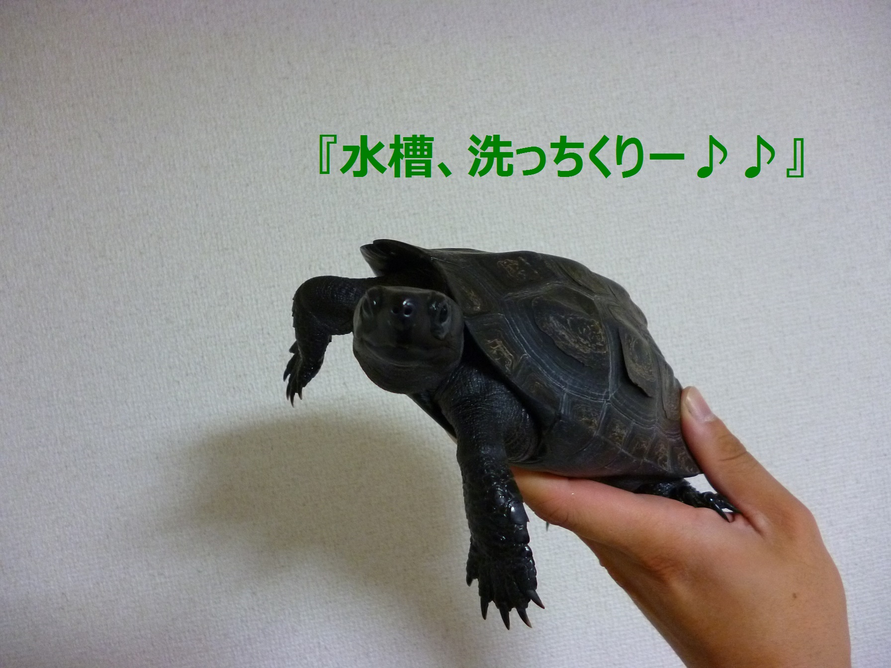  18日(水)のセールス奥野は . . . 