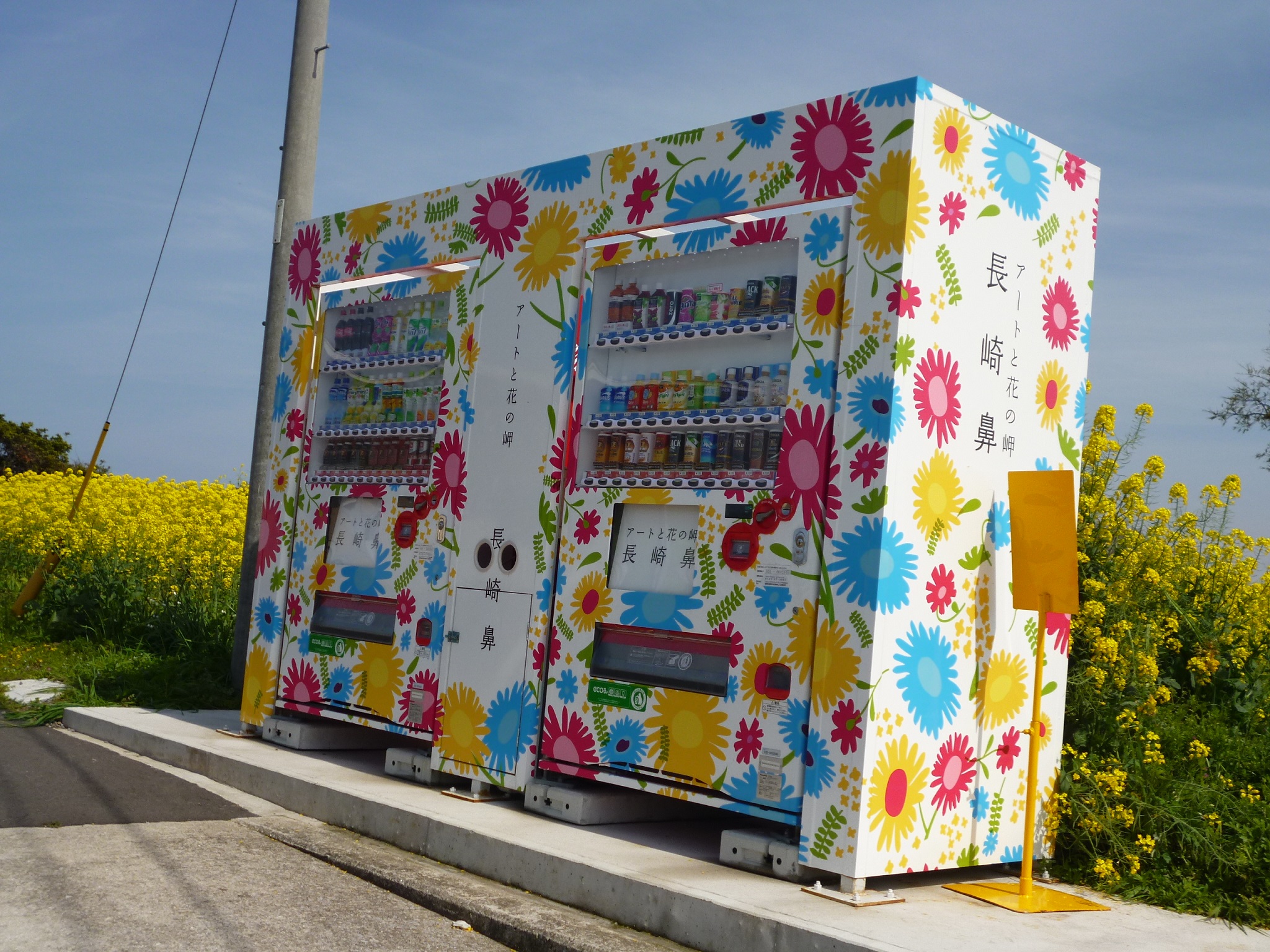  アートと花の岬 ♪ 長崎鼻 菜の花フェスタ 2015 ♪♪