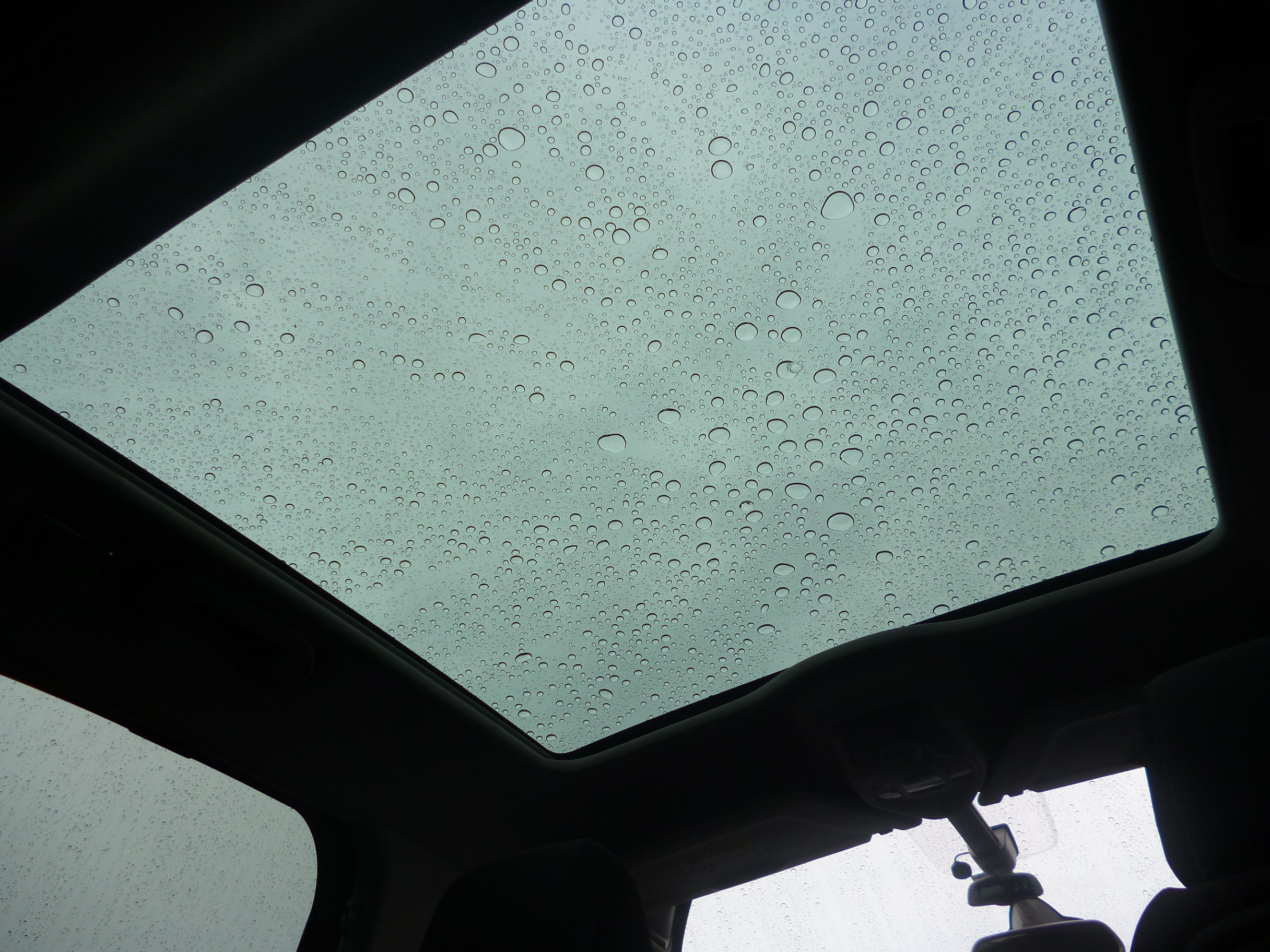 長雨は続いてますが...