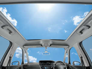 ブランバンキーズのピカソ、フェイスリフトモデル、初！