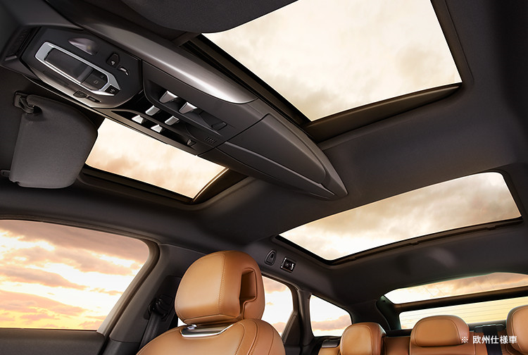 これぞDS。歴史のあるボディカラーに、色気のあるインテリア。