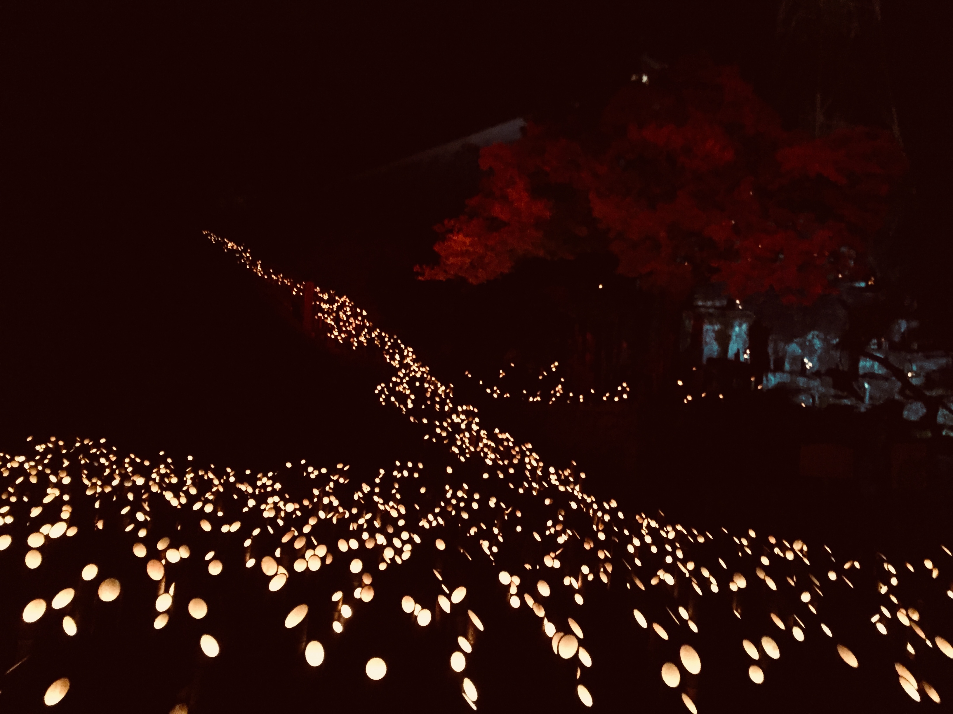 最近のプライベート♪