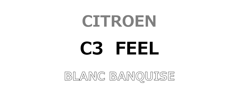 フランス車ど真ん中のC3、ご納車♪♪