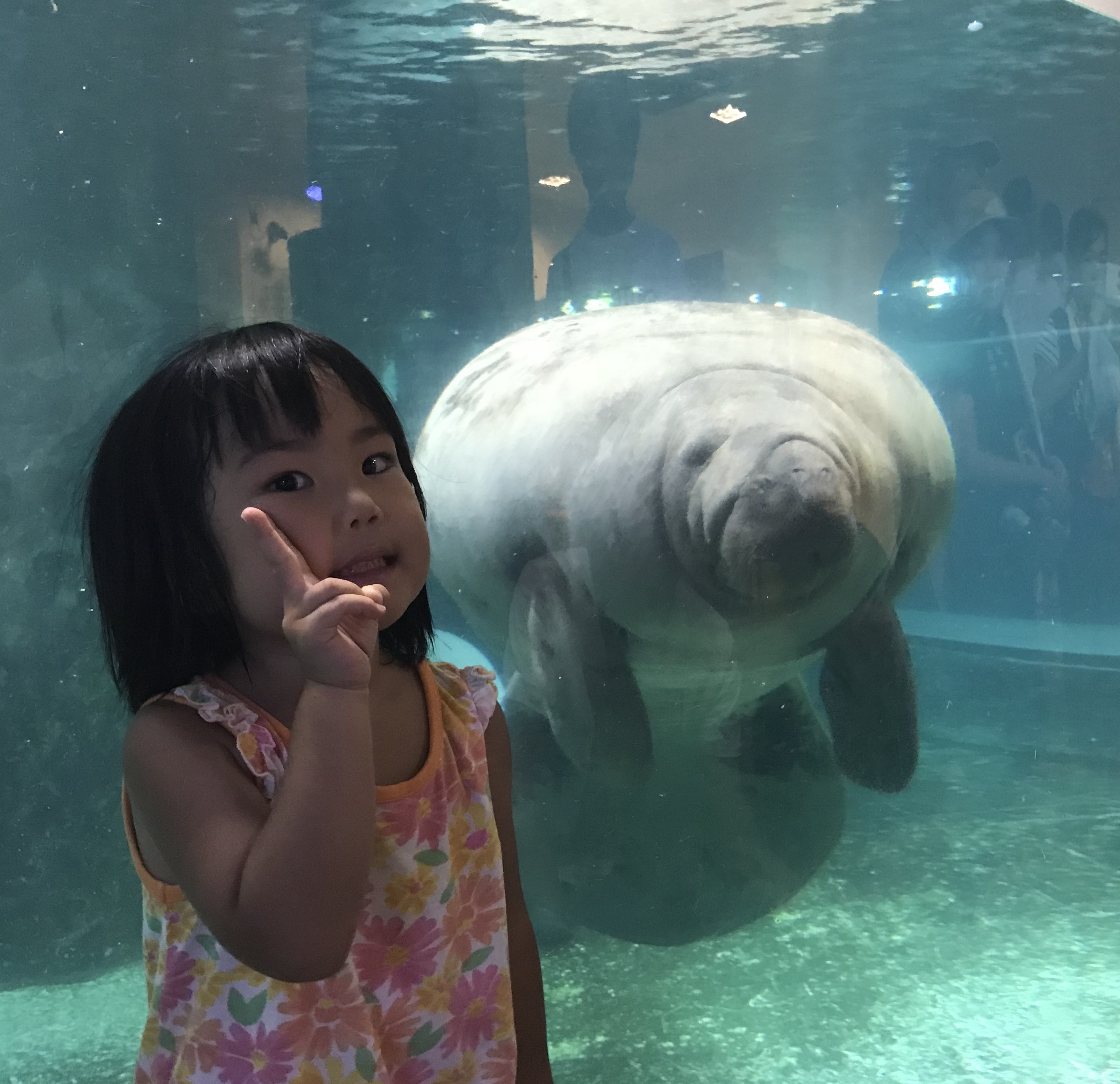高橋の夏編    最終章‼️
