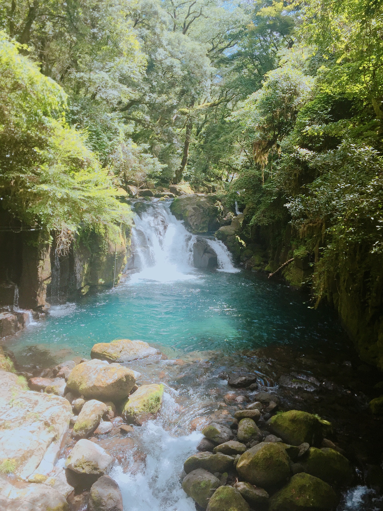 往復６時間の旅