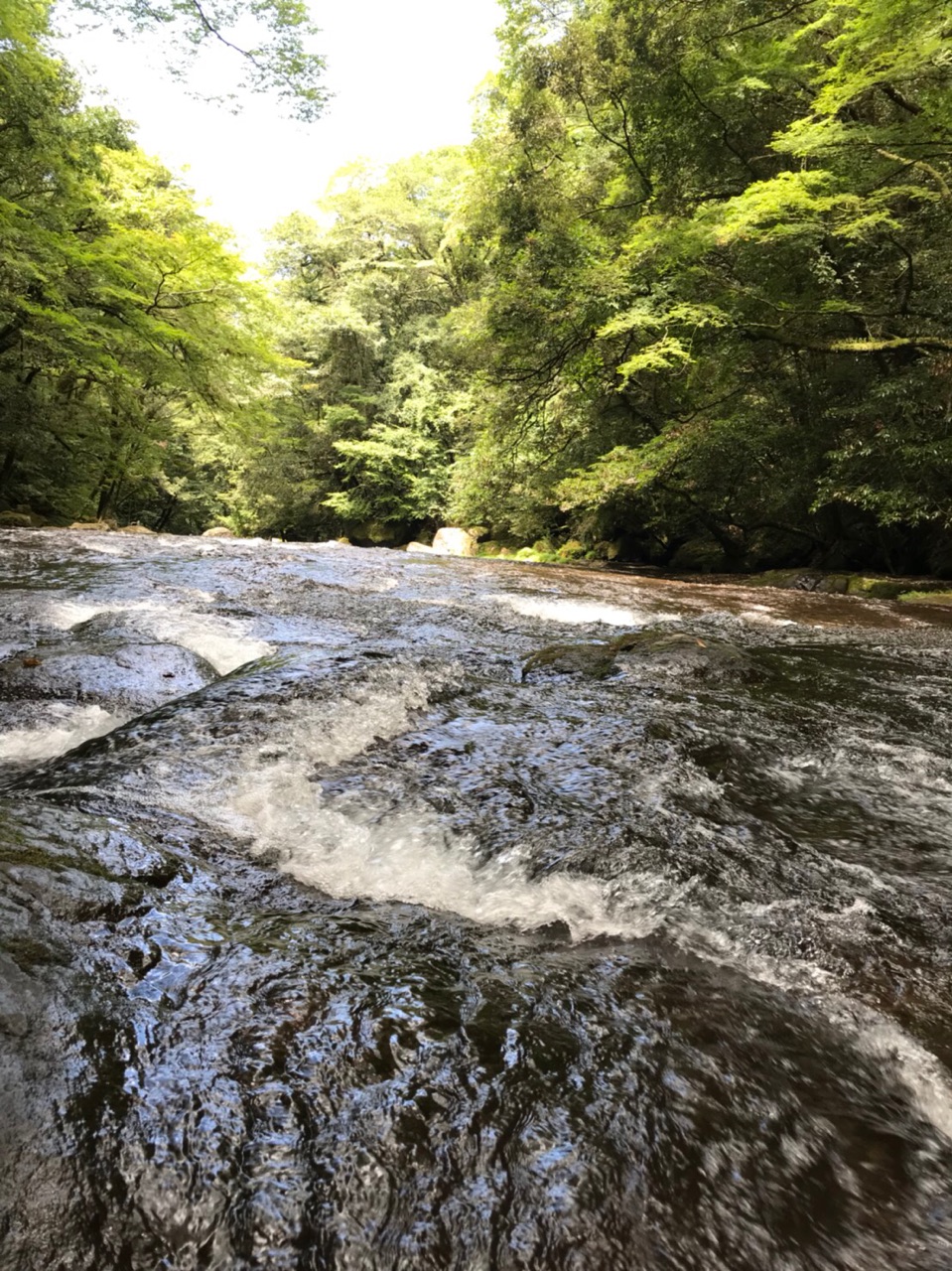 往復６時間の旅