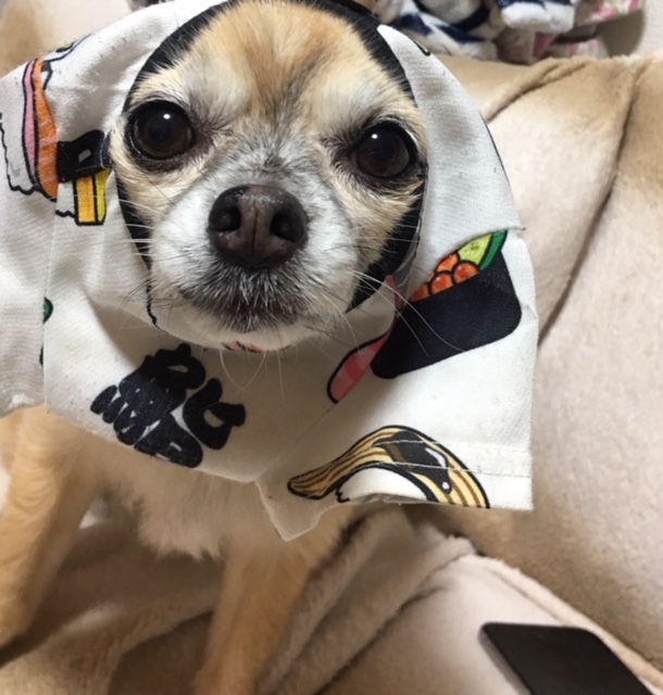 食欲の秋にご注意を！