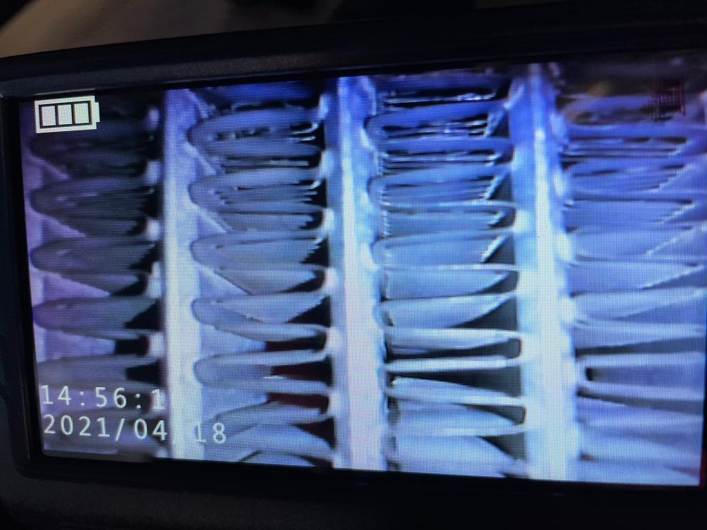 この時期だから