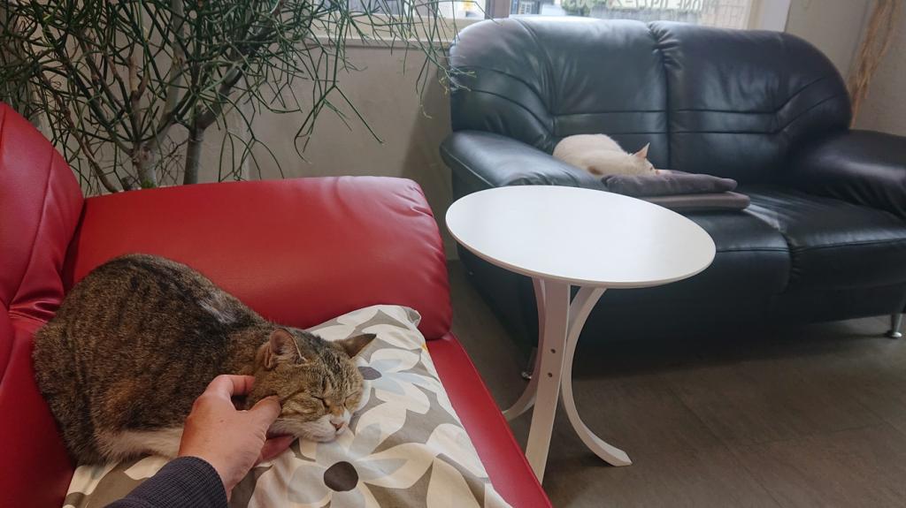 ナニをドー慌てても、残すところ、あと1ヶ月を切りましたよー