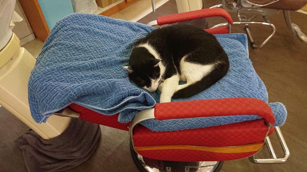 ナニをドー慌てても、残すところ、あと1ヶ月を切りましたよー