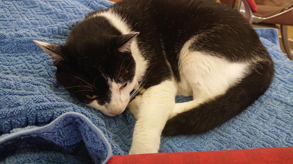 ナニをドー慌てても、残すところ、あと1ヶ月を切りましたよー