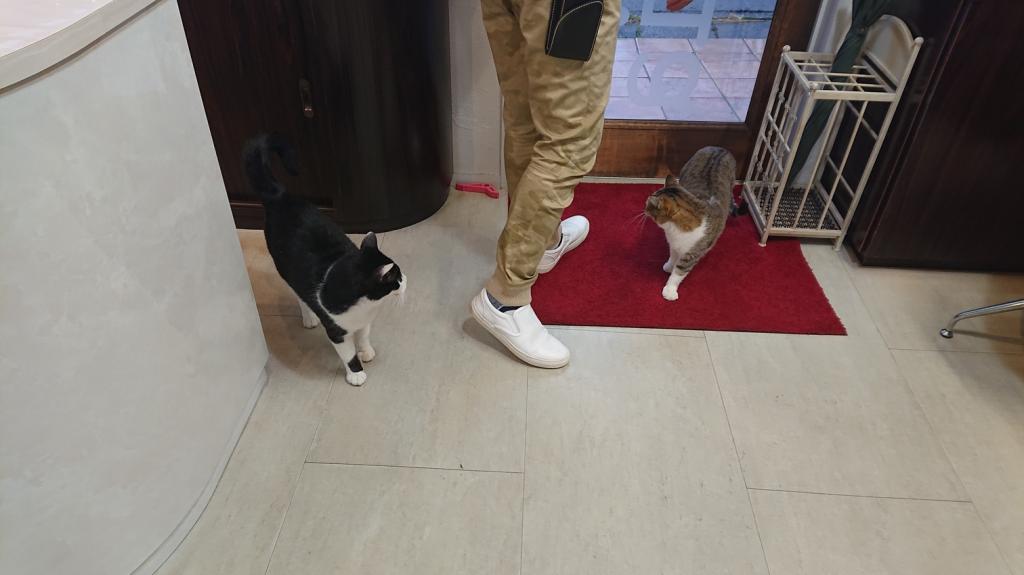 ナニをドー慌てても、残すところ、あと1ヶ月を切りましたよー