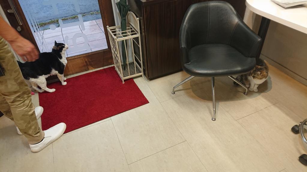 ナニをドー慌てても、残すところ、あと1ヶ月を切りましたよー