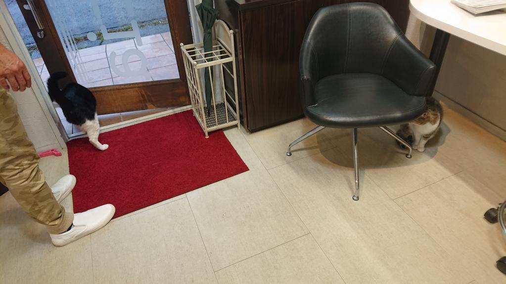 ナニをドー慌てても、残すところ、あと1ヶ月を切りましたよー