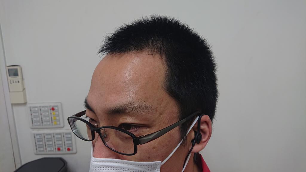 ボウズ、バリカン、リスク オブ アイス。