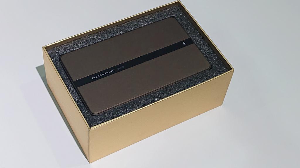 日本の伝統色「錆利休」（さびりきゅう）をまとった、イカしたアイツ