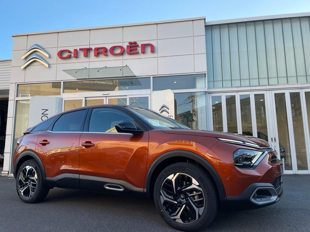 NewC4新色実物ございます(^^♪