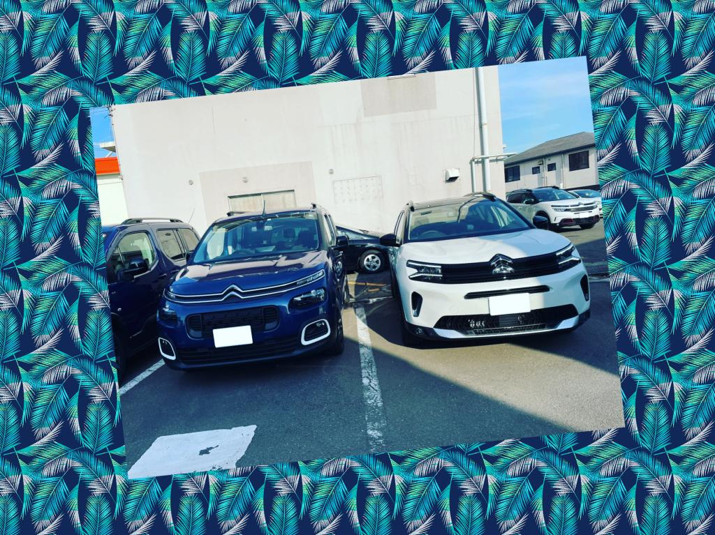 年末にかけてラストスパート♪ 諸々フェア実施中です♪（試乗感）