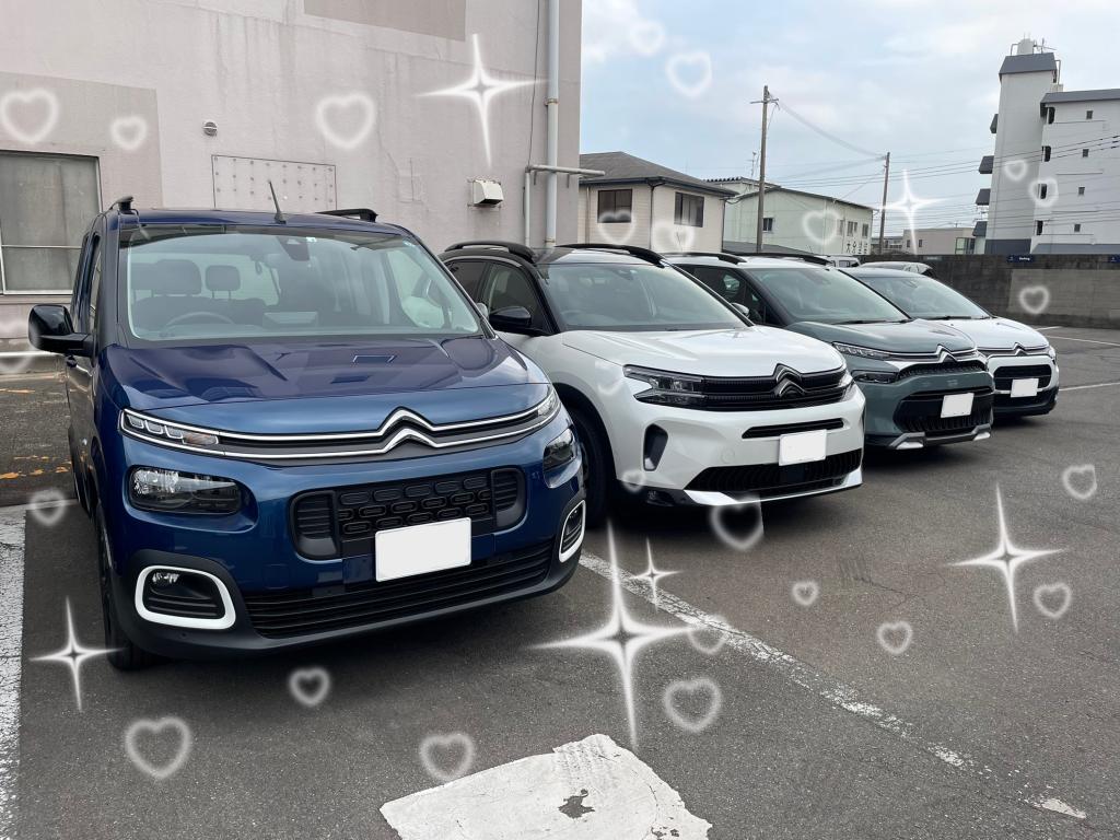 ♪年末年始をご安全に迎えていただけます様に♪（エクステリア）