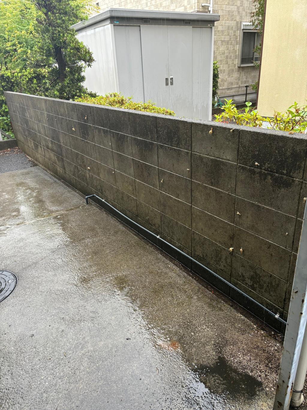 どっから出てくるの❓