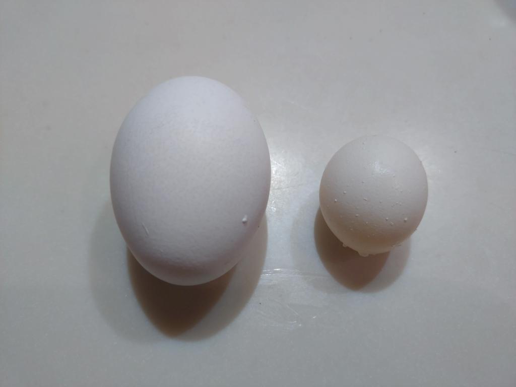 えっ？ウソでしょ！？