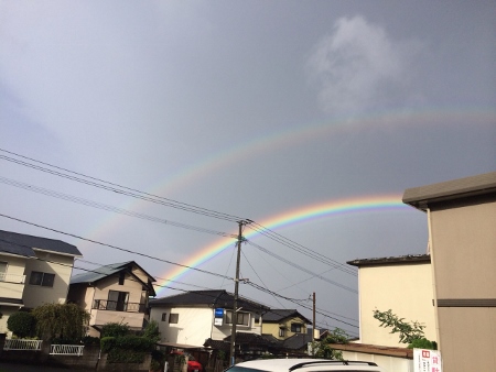 台風のあとに