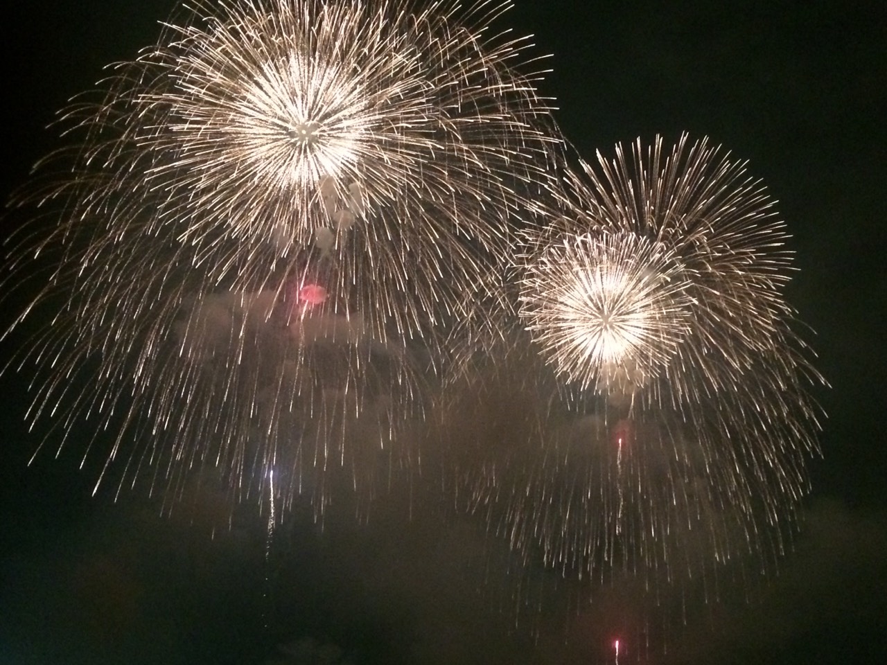 ☆　夏の風物詩　☆