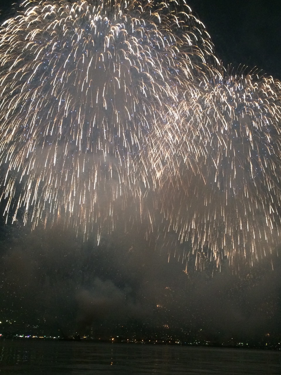 ☆　夏の風物詩　☆