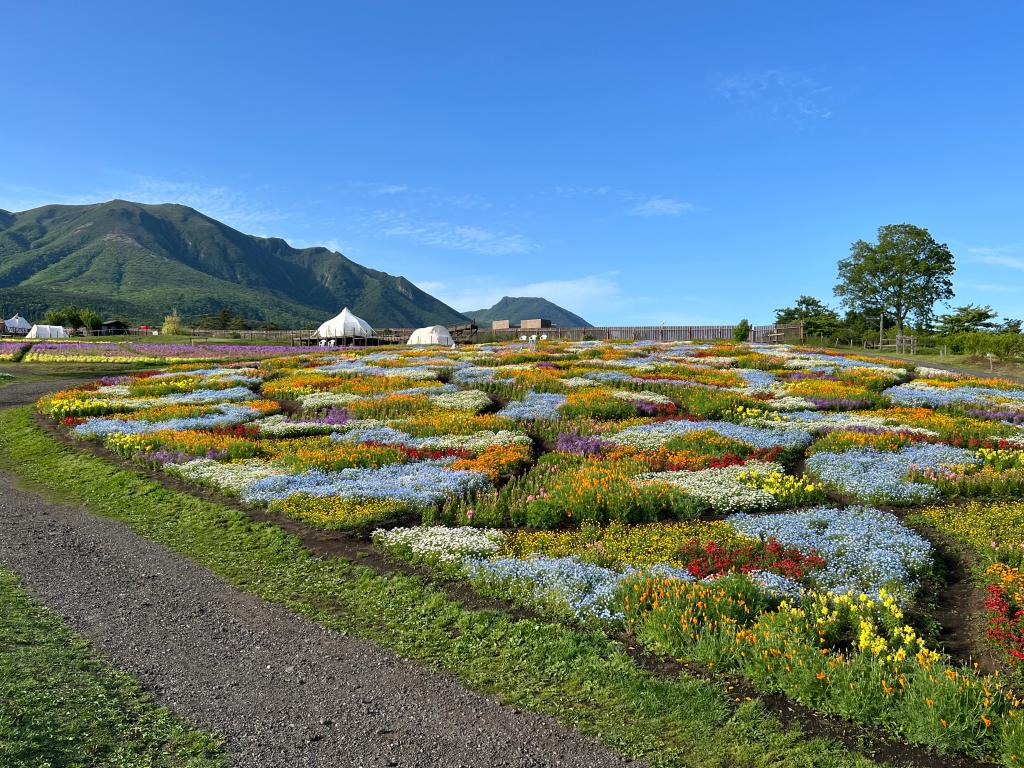 お花の癒し