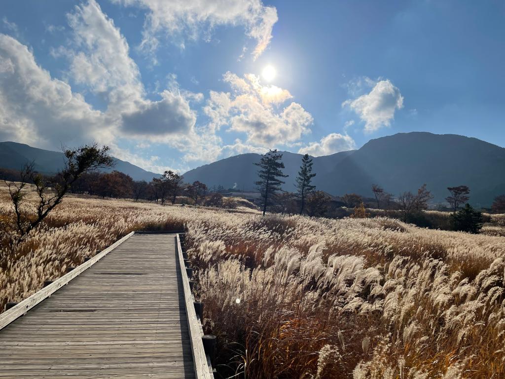 ♪大分県内　コンフォートエリアご紹介♪